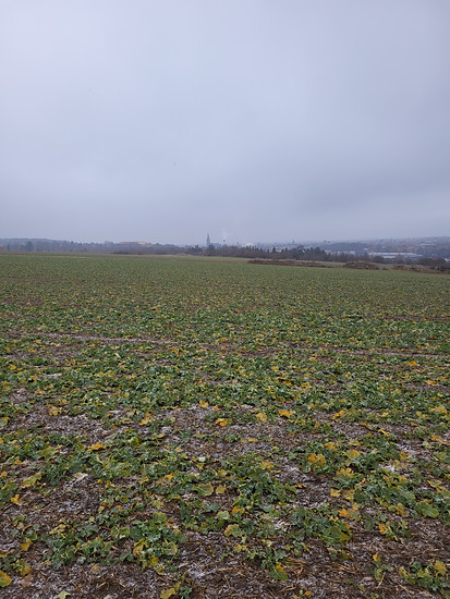 Kleine Runde zum Mittwoch